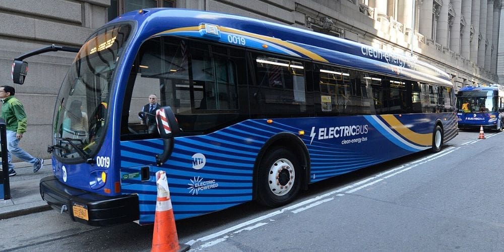 Big Blue Bus is parking along the road